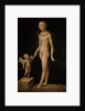 Venus and Cupid by Lucas Cranach the Elder